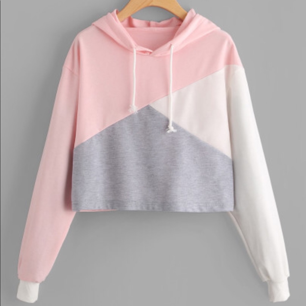 Cut And Sew Panel Crop Hoodie